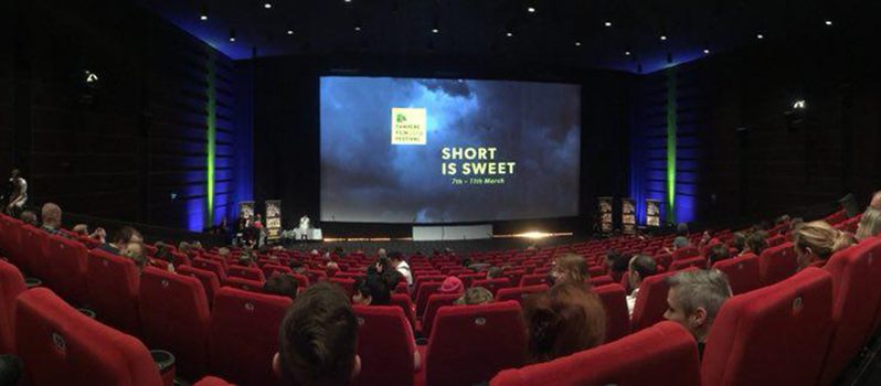 دیپلم افتخار جشنواره تامپره به فیلم کوتاه «طاغی» رسید